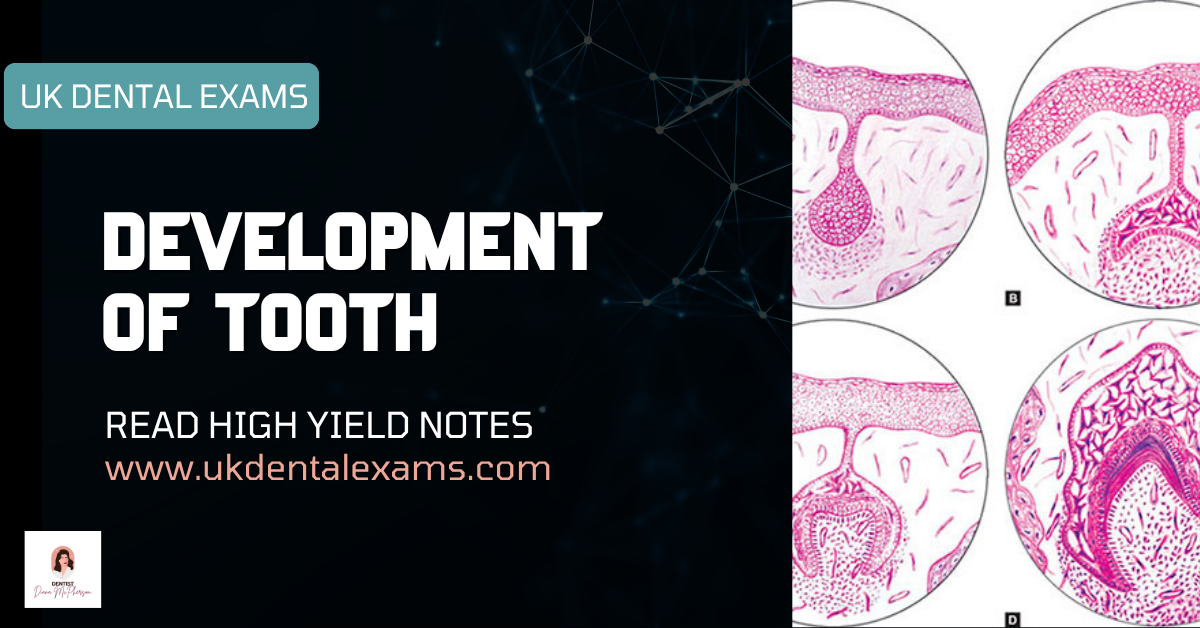 Development of Tooth: Morphogenesis and Histological Stages